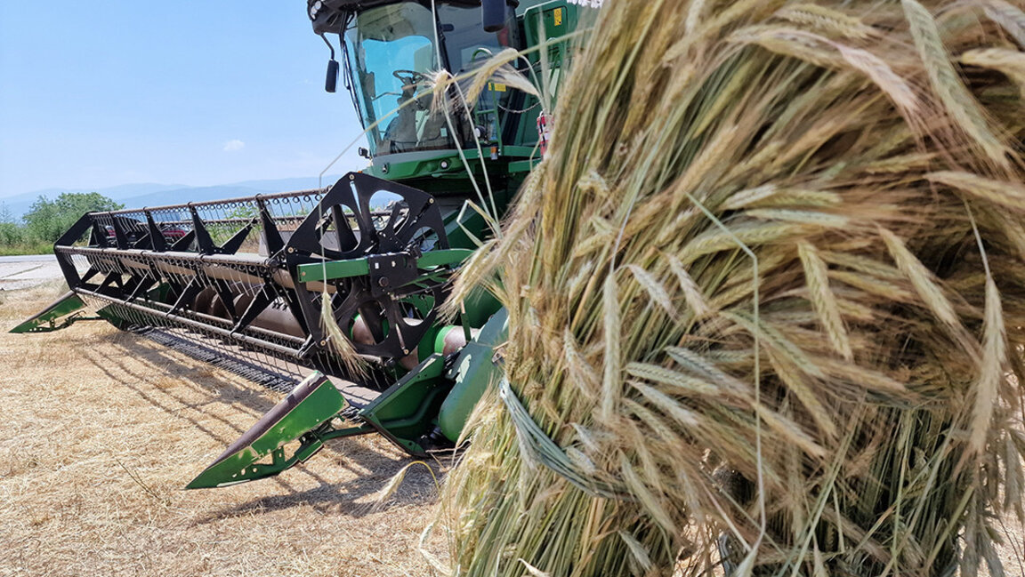 Im Raum Widin startet offiziell die Erntekampagne 2025