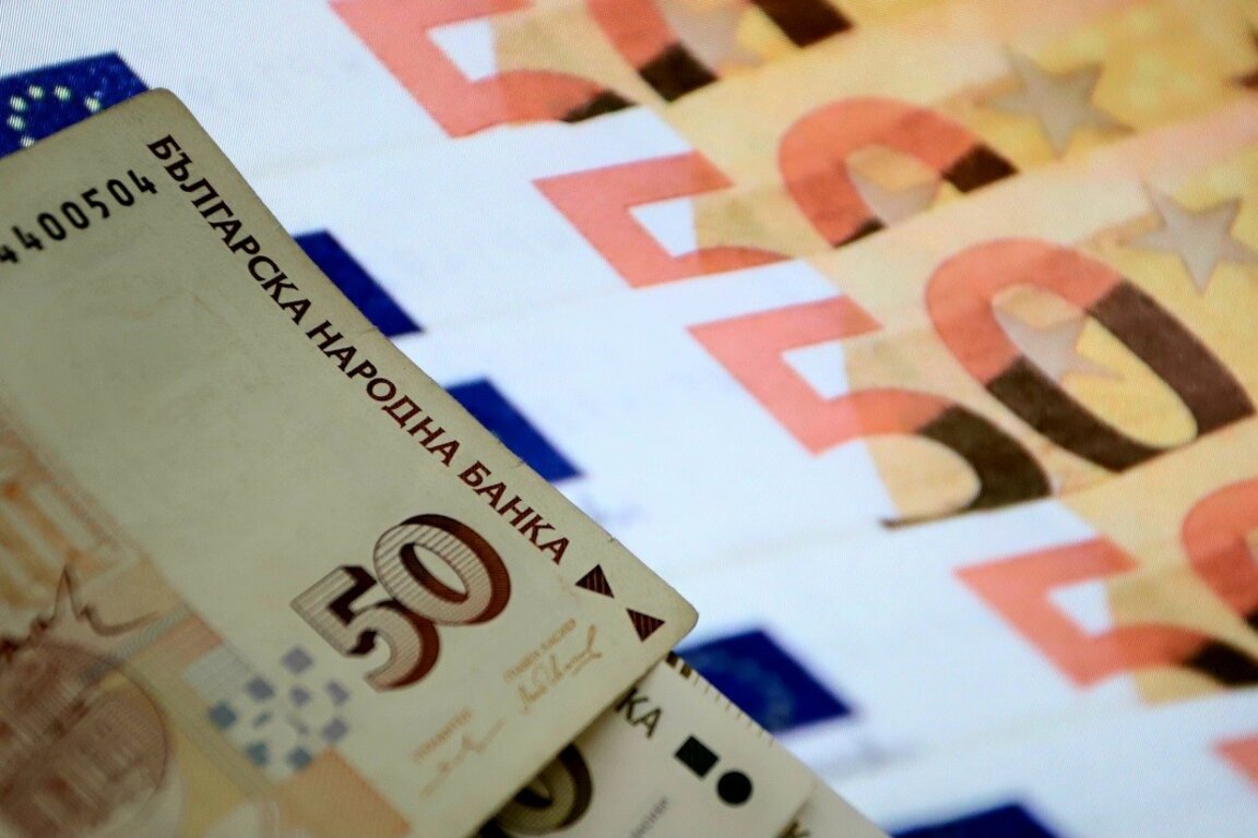 Във Враца ще се проведе информационен ден за еврото