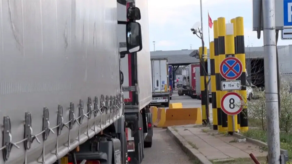 Cows stranded for 6 days on Bulgarian-Turkish border due to plague in Romania