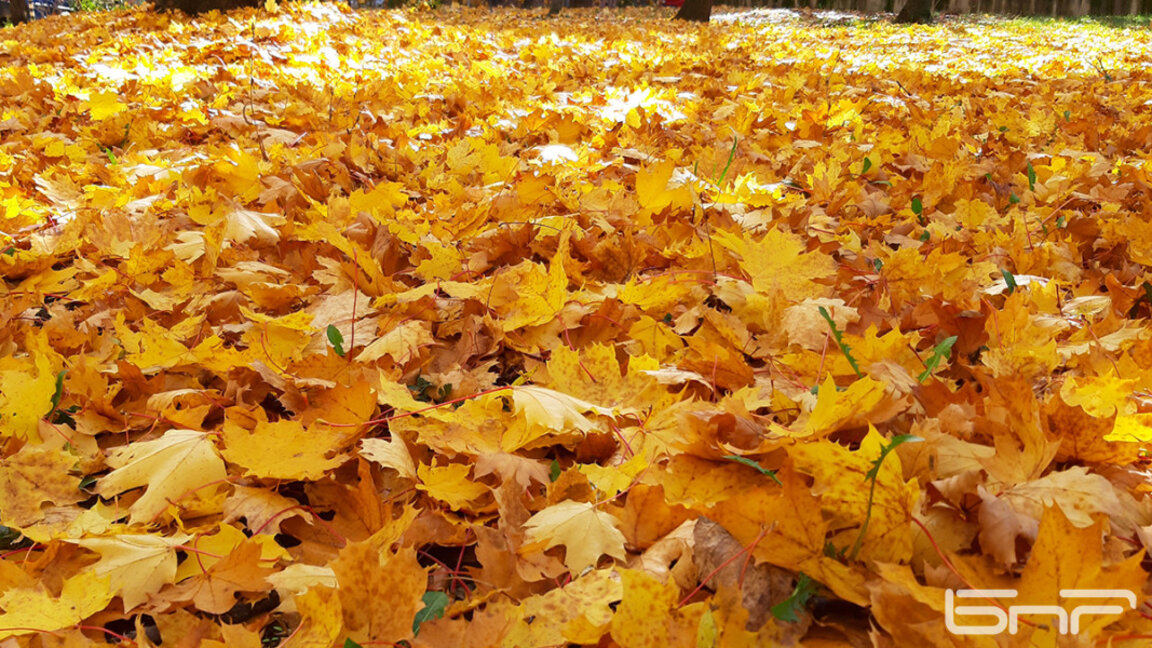 Wettervorhersage für das Wochenende