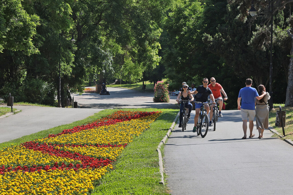 Parashikimi i motit për fundjavën