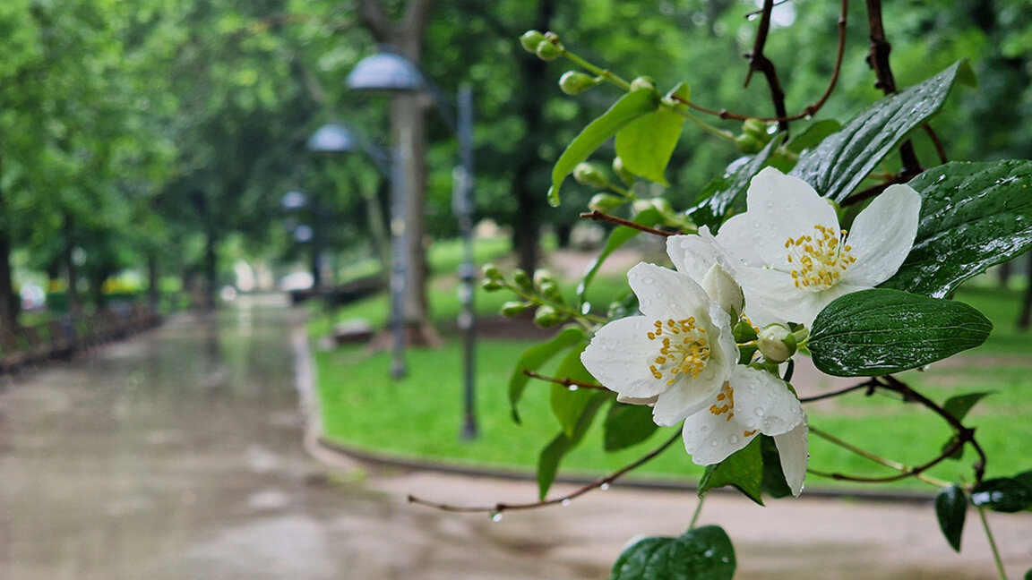 Wetteraussichten für Dienstag, den 21.Mai