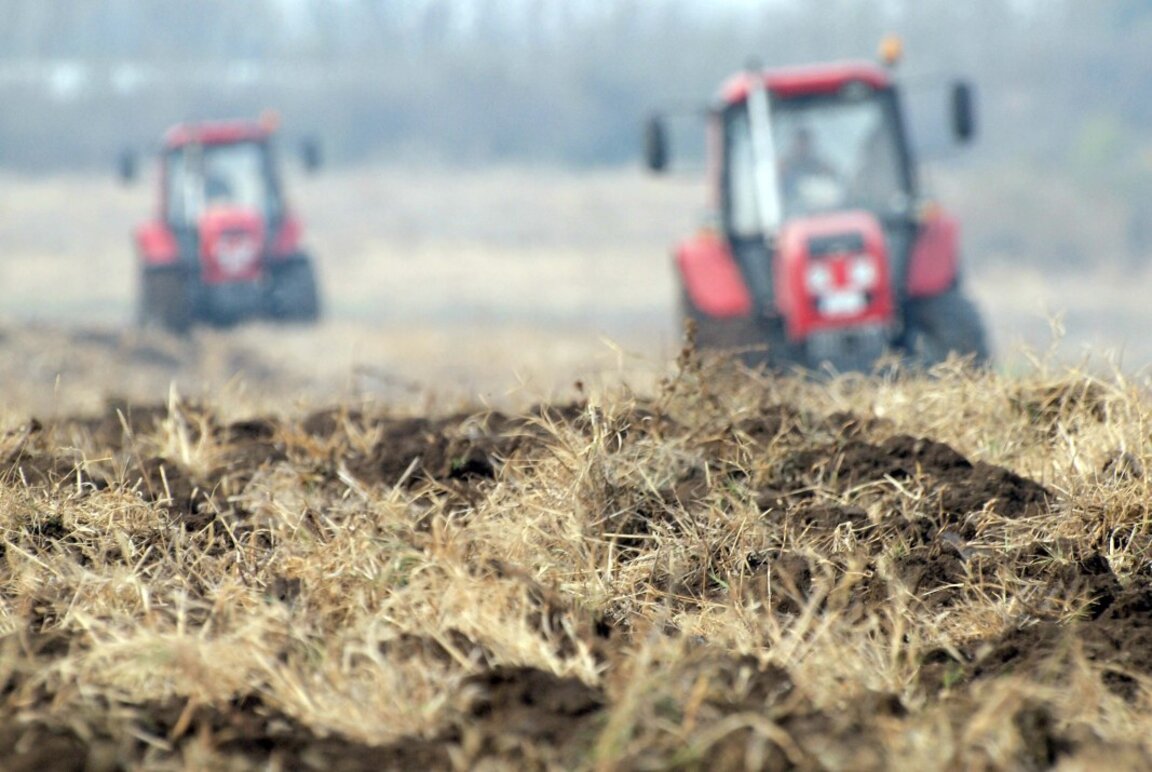 Modelul de subvenționare al UE denaturează producția agricolă din țară