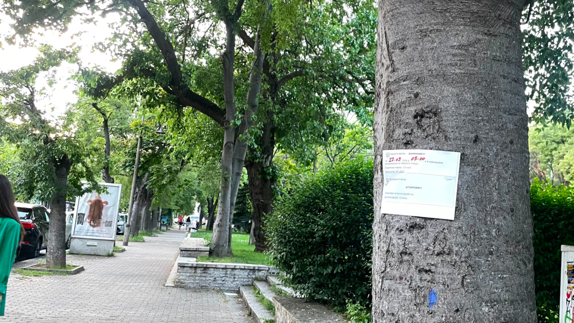 Продължават обработките срещу кърлежи във Варна