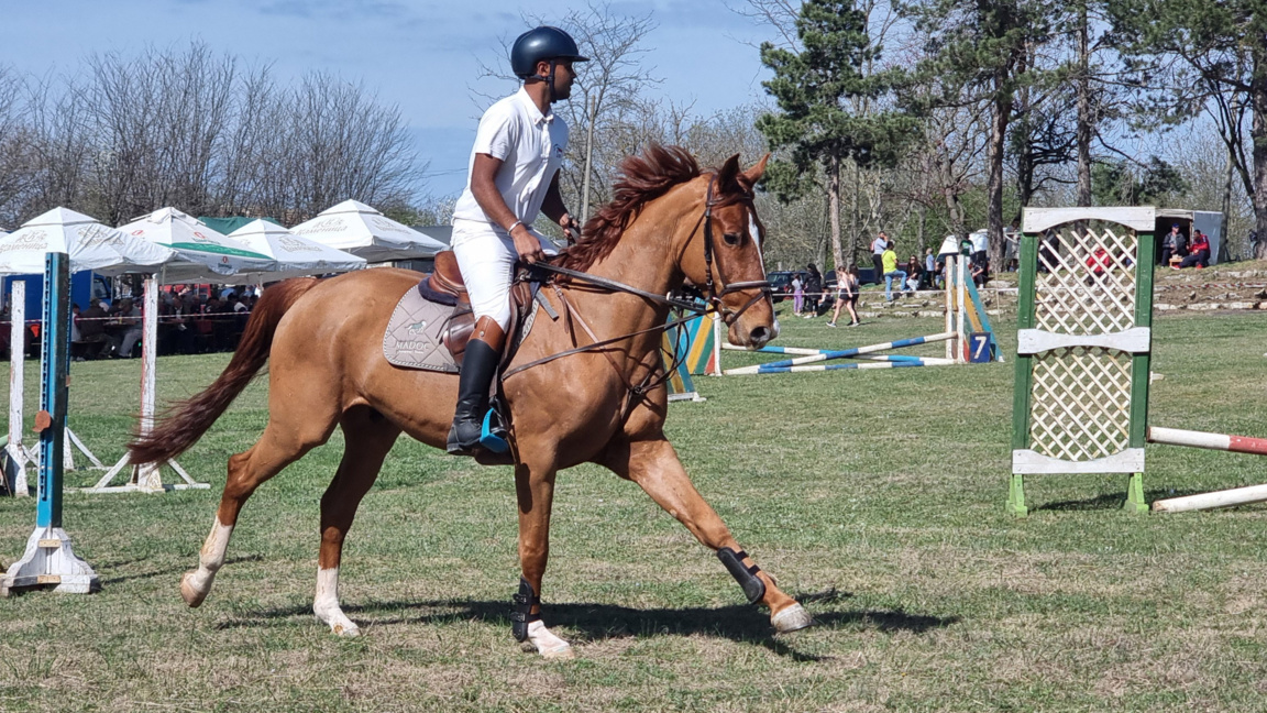 Iubitorii sporturilor ecvestre se adună la o competiție atractivă în Hairedin
