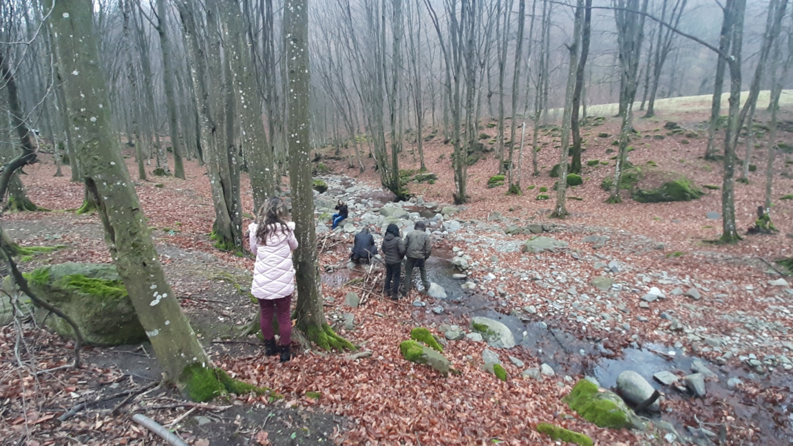 Туризъм в Берковица