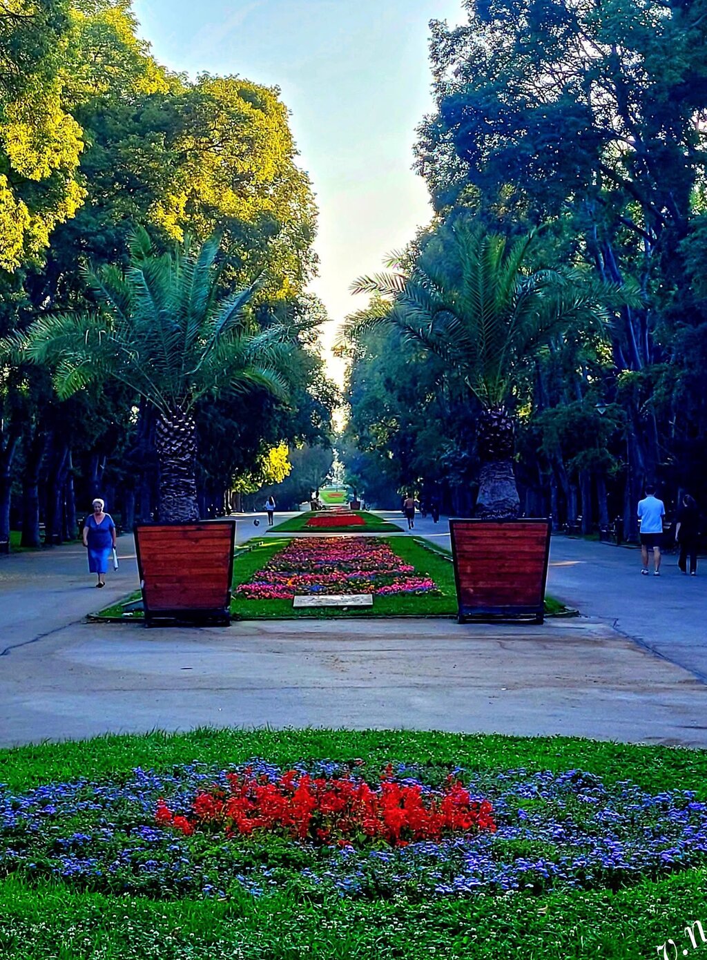Варна