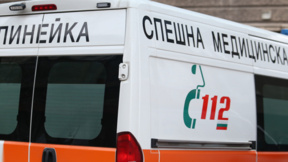 Камион блъсна пешеходка, пресичаща на зелено, на бул. "Трети март"