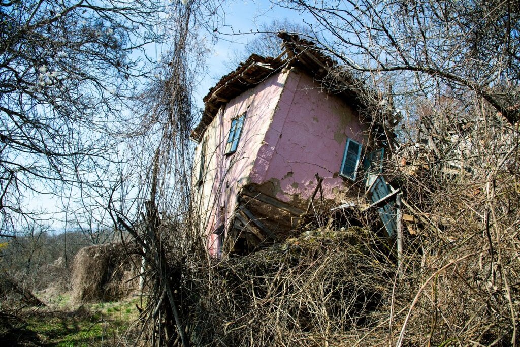 Цветовете на природата като вътрешни състояния в проект на Ивелина Берова