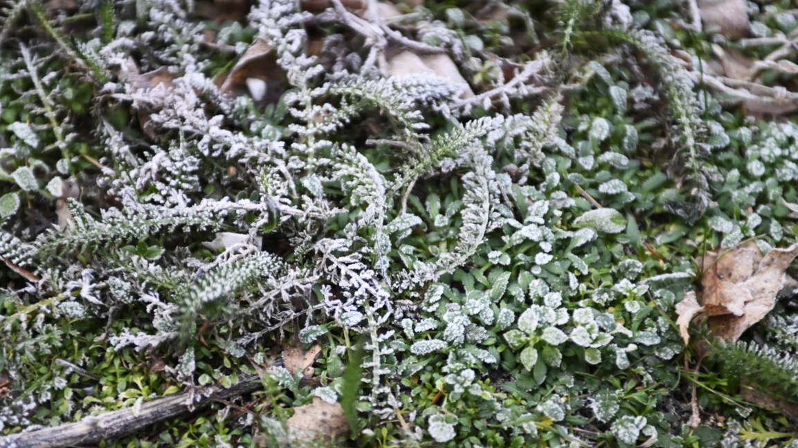 Wetteraussichten für Donnerstag, den 22. Januar