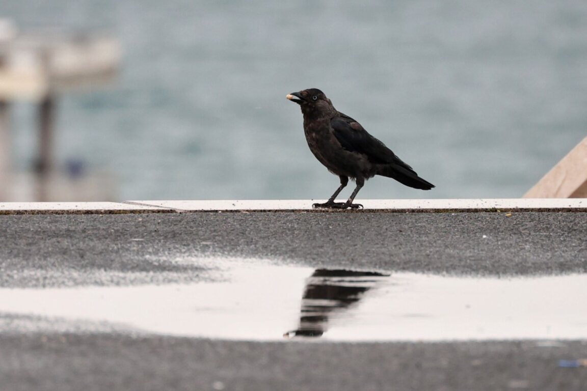 Previsión del tiempo para el 8 de octubre