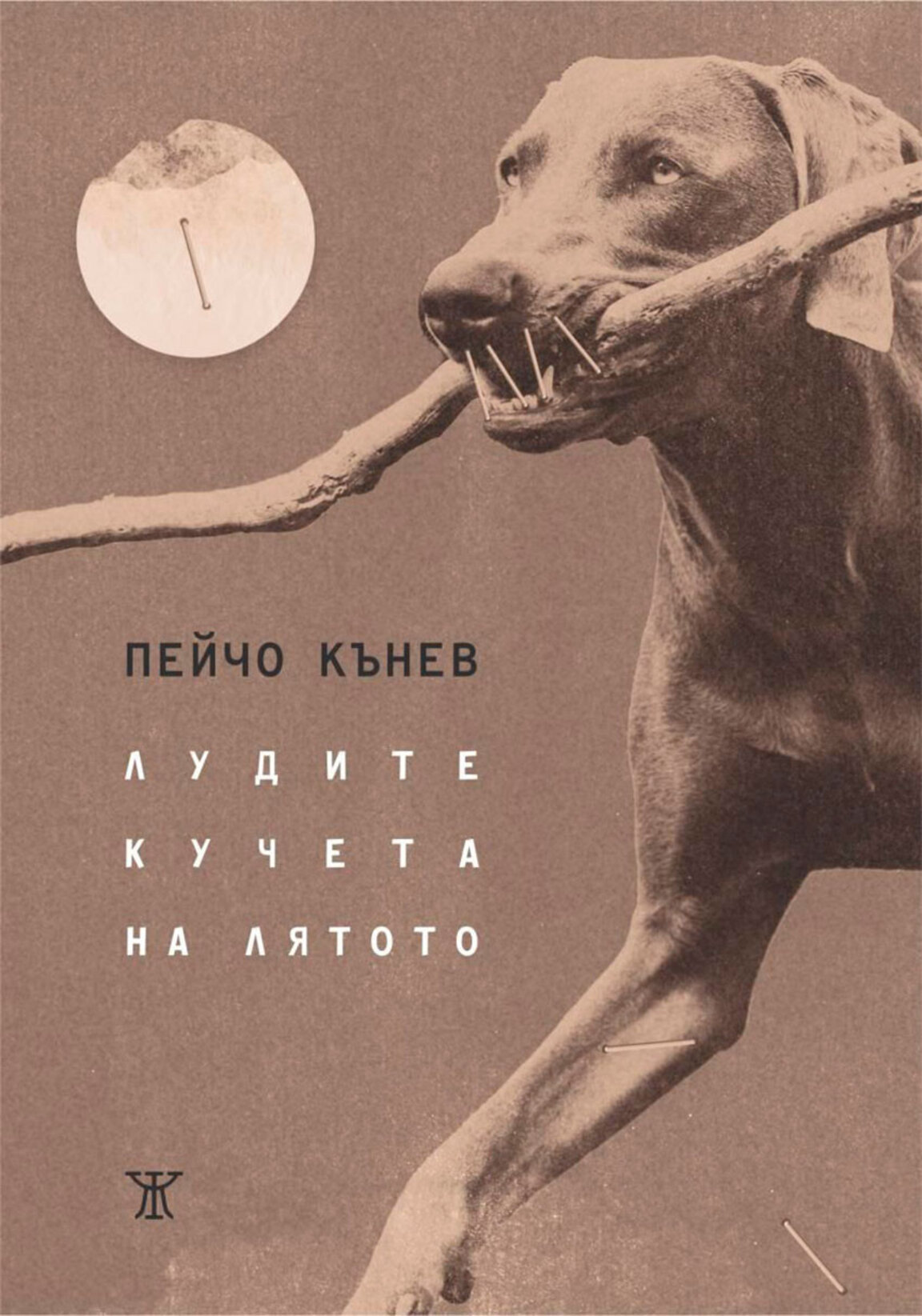 "Лудите кучета на лятото" – поезия без украшения и опаковки