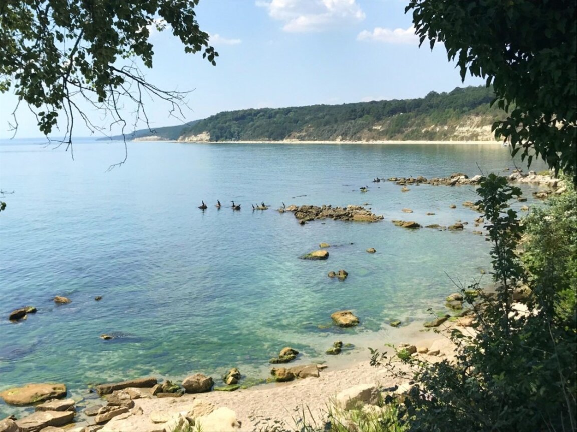 Почистват плажа край хижа "Черноморец" край Варна