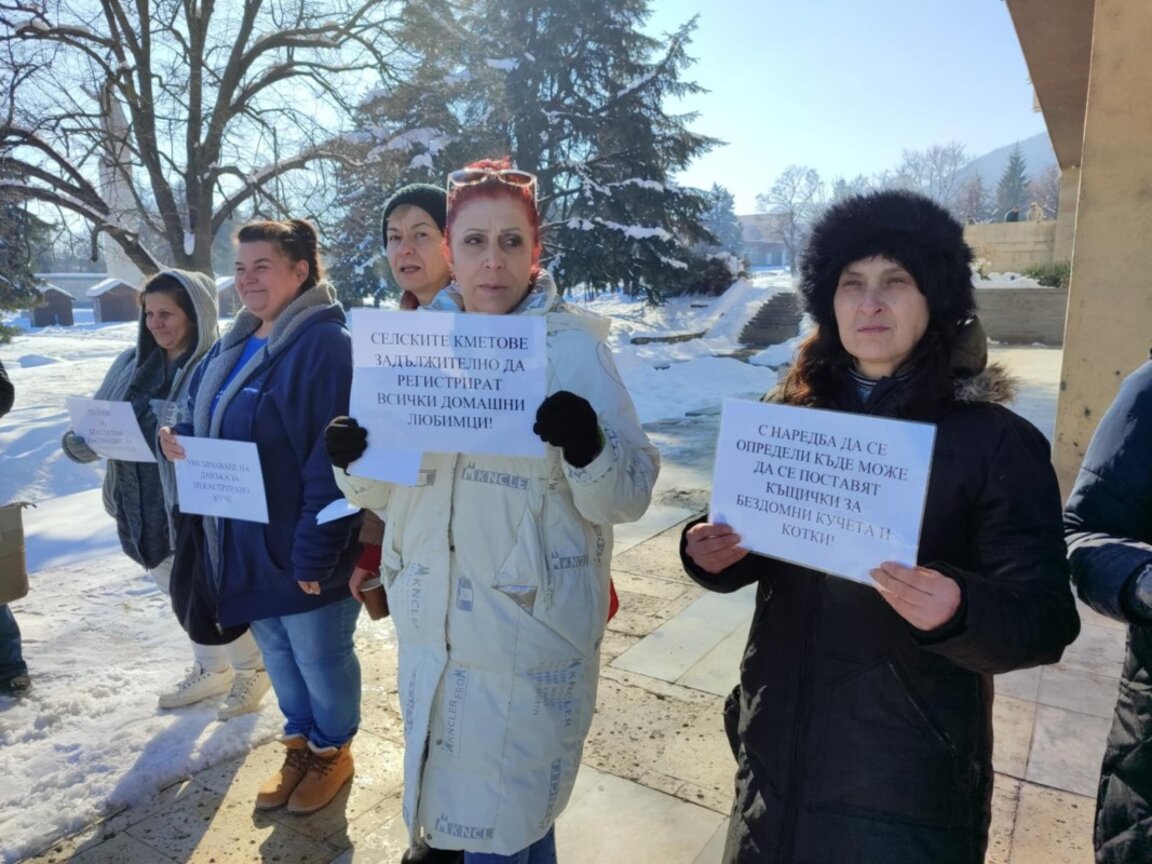 Защитници на животните с протест