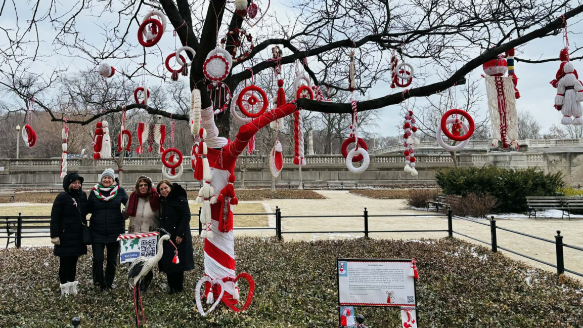 В центъра на Чикаго грейна дърво‑мартеница
