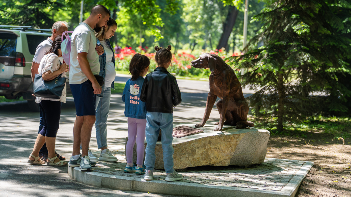 куче
