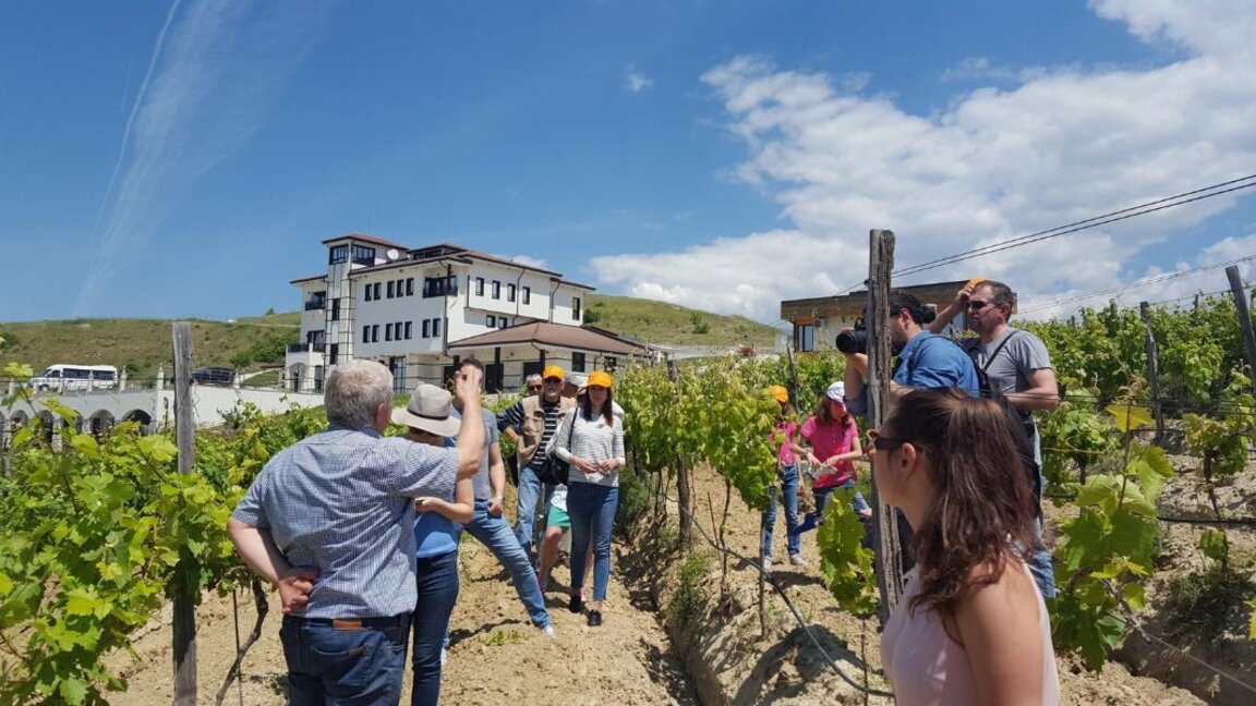 Vin et amour dans la Vallée de la Strouma