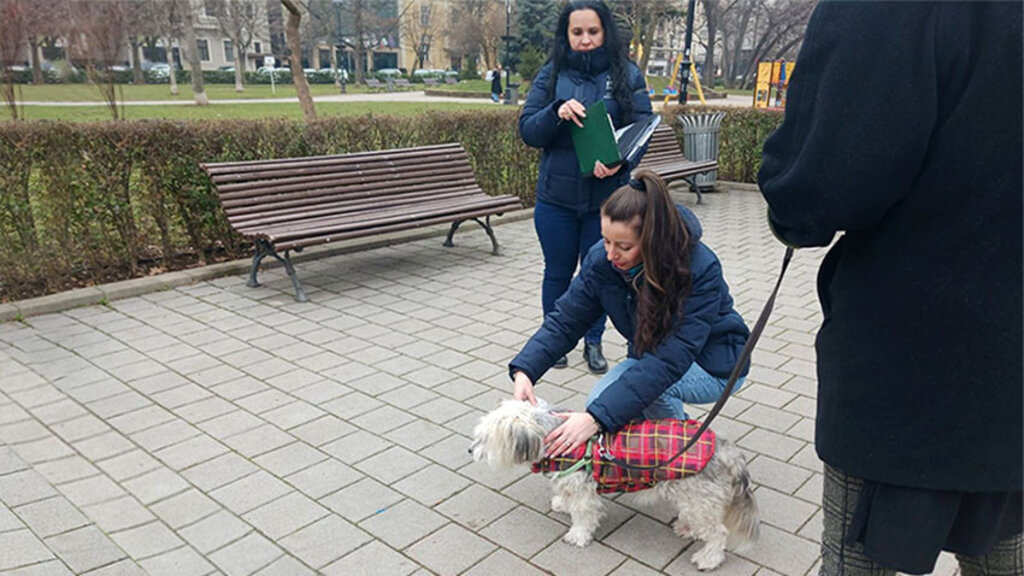 За месец са проверени 570 собственици на кучета в софийски паркове