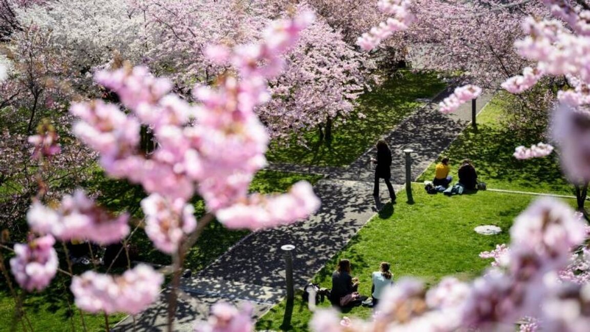 Wetteraussichten für Dienstag, den 15.April