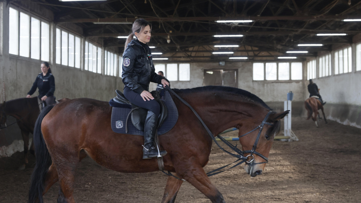 Емил Радев: България може бързо да промени наредбата за служебните животни