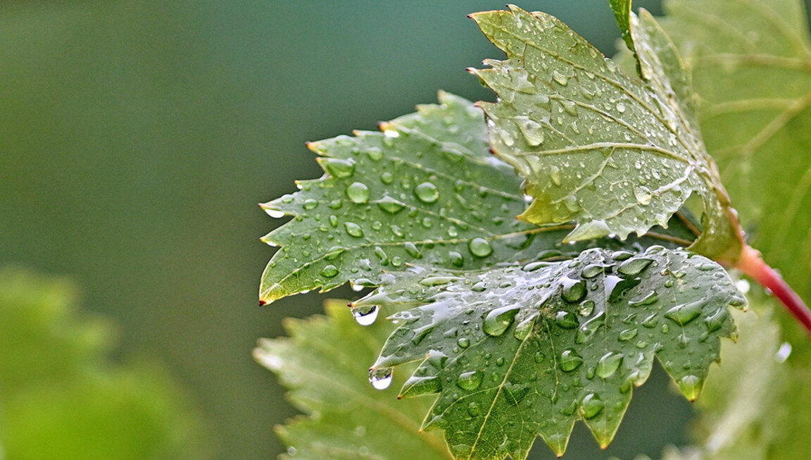 Previsión del tiempo para el 10 de septiembre