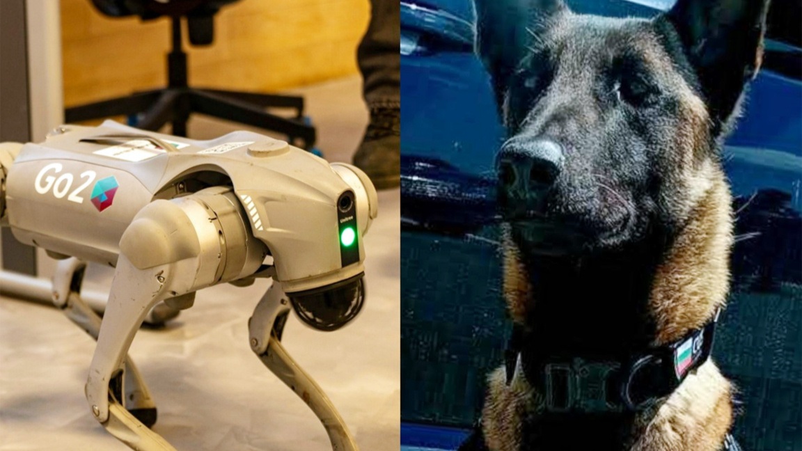 Un chien douanier et un chien robot se rencontrent à Bourgas