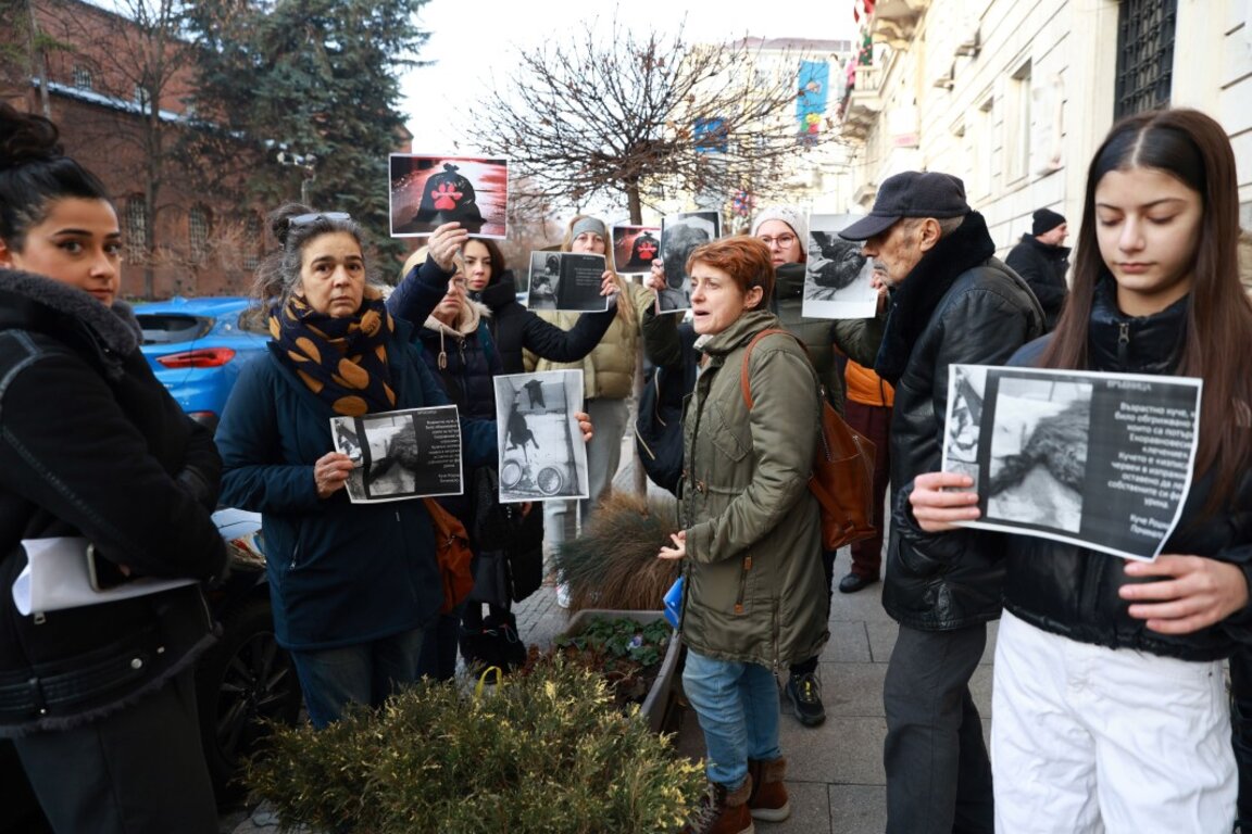 Защитници на животните протестираха пред Столичната община