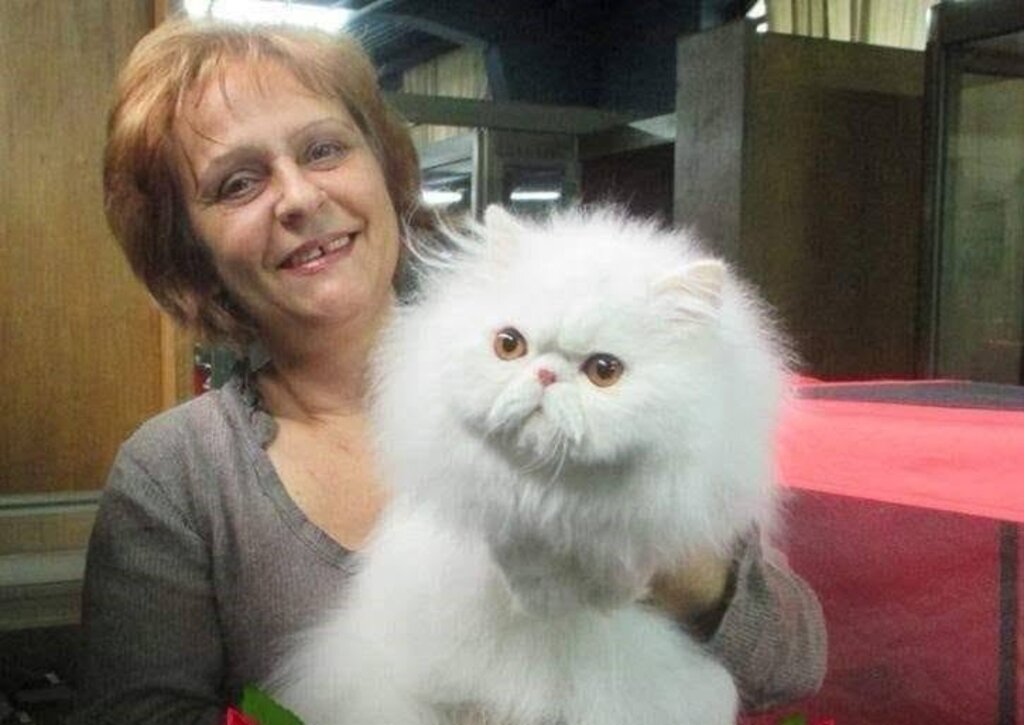 Ангелина Стамова с любима персийска котка