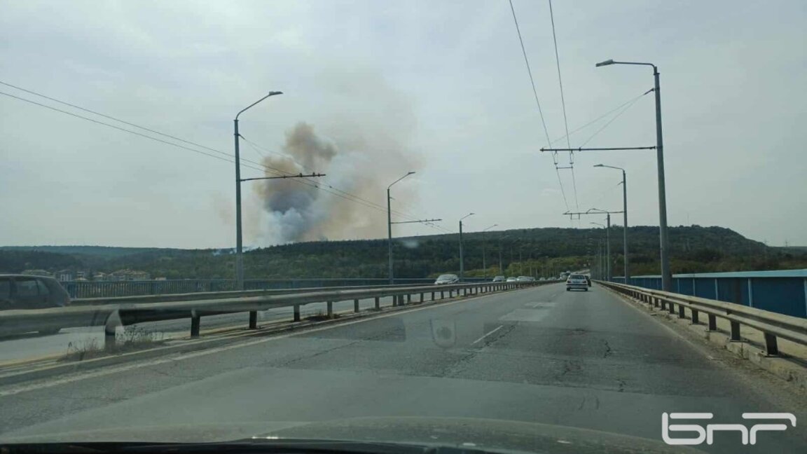 Борова гора пламна в Аспарухово