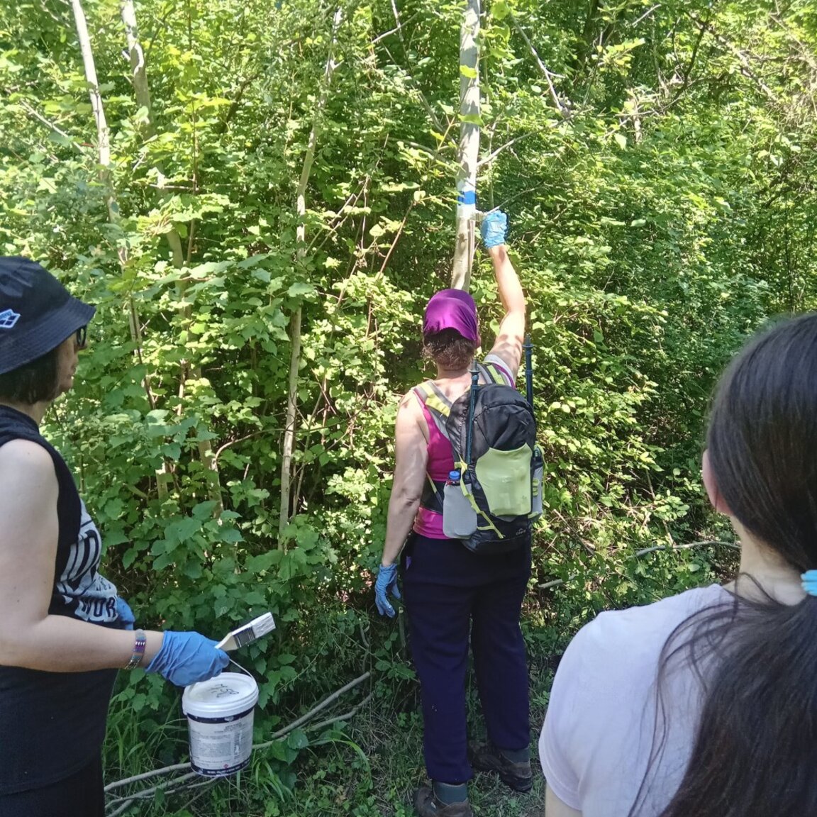 Нова  еко пътека в Ослен Криводол