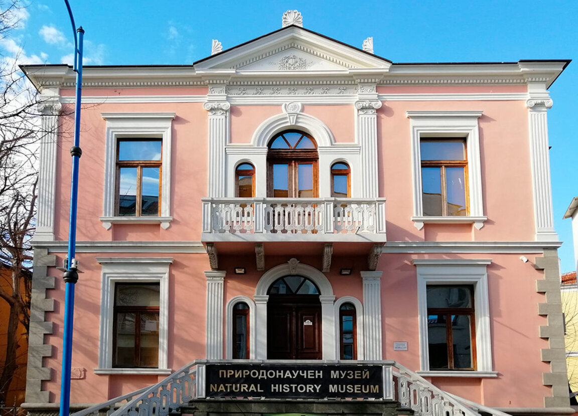 Природонаучният музей-Бургас отправя послание с изложба за опазването на Черно море