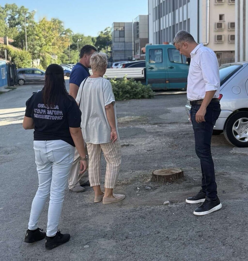 Отсякоха дървета без разрешение край НАП в Стара Загора