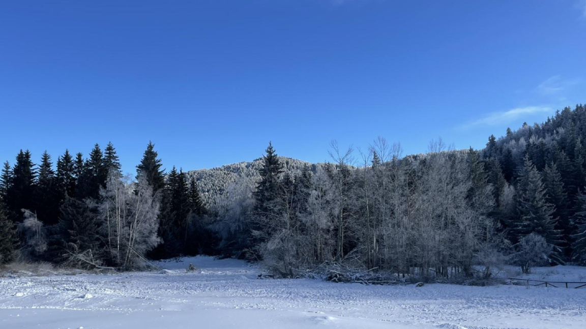 Остава студено с възможни слаби превалявания от сняг в планините и по морето
