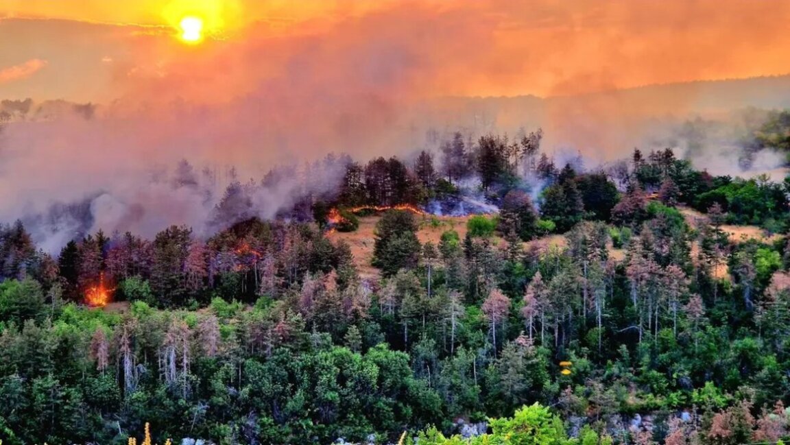 Локализиран е пожарът край Арбанаси