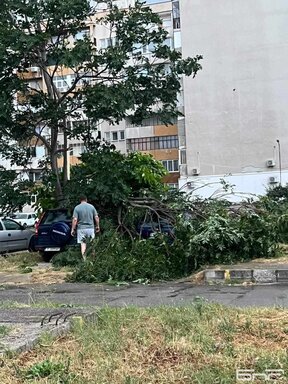Буря със силен вятър и слаба градушка премина над Ямбол