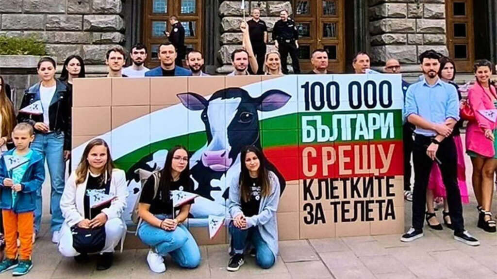 За говедовъдство без клетки ще стигне инвестиция под 1% от годишния оборот в отрасъла
