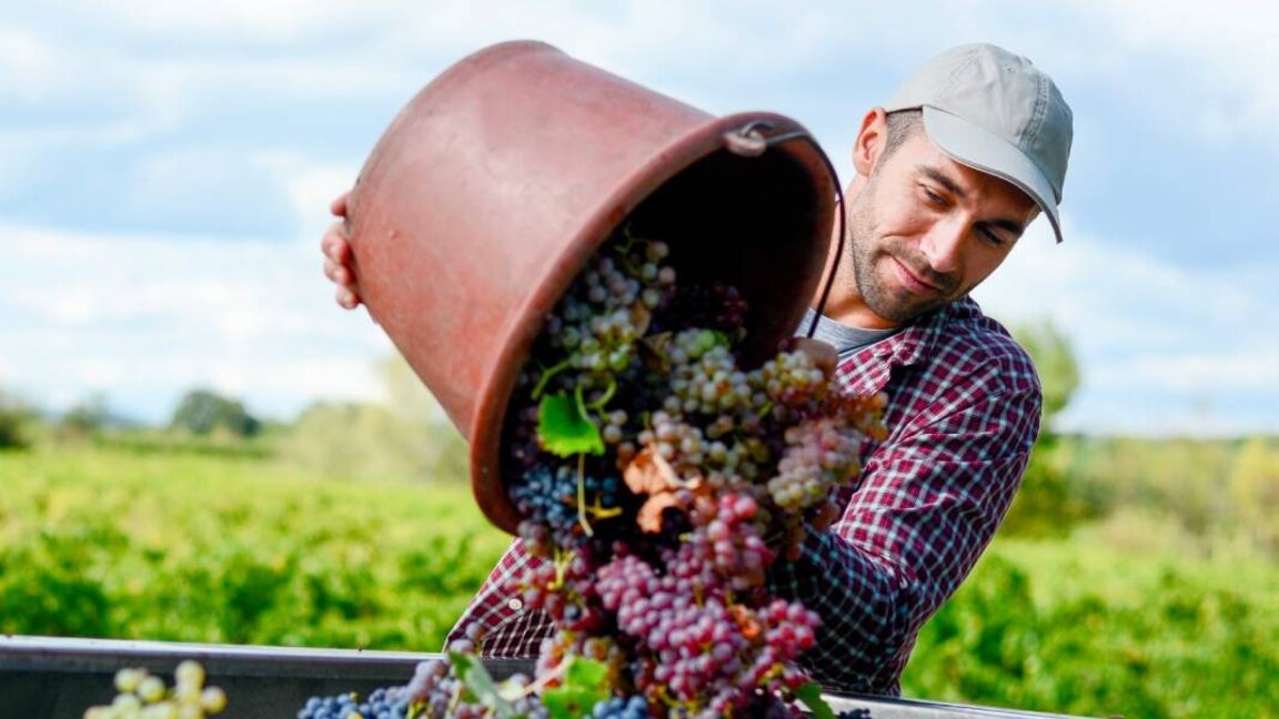 Over 5,000 unemployed Bulgarians have started seasonal work in Europe since the beginning of 2025