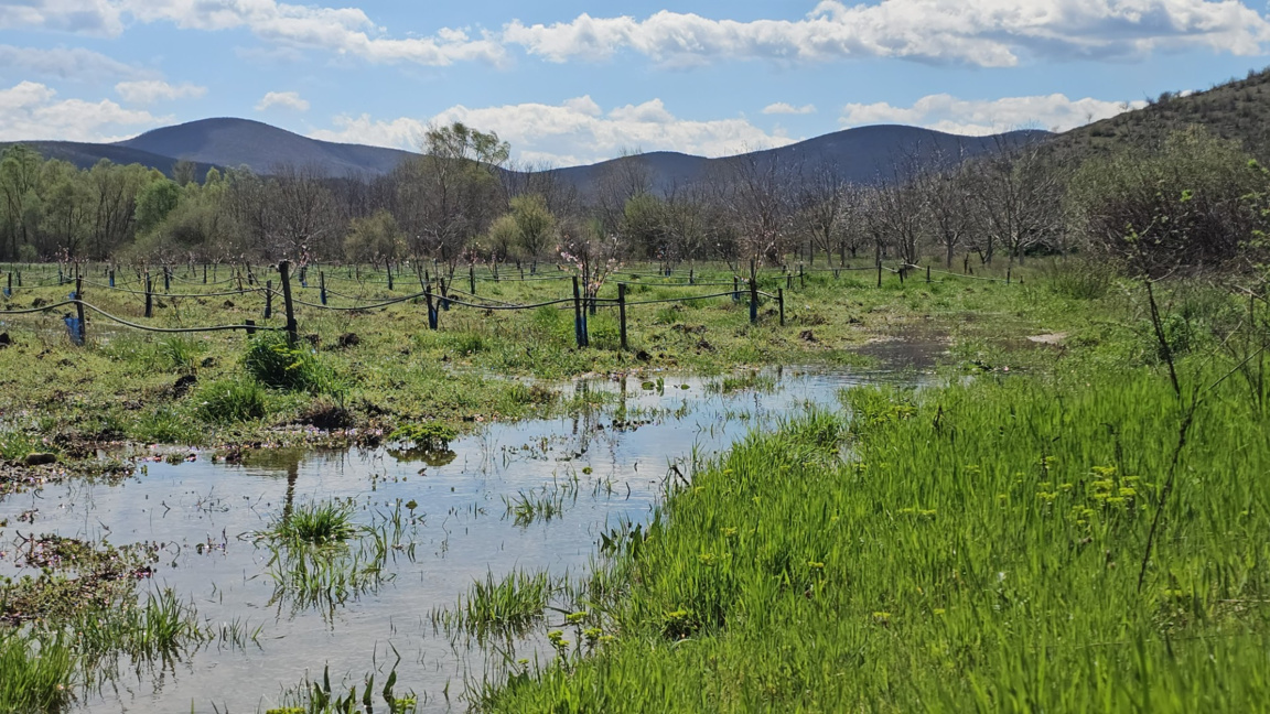 Река Тунджа преля край село Бинкос