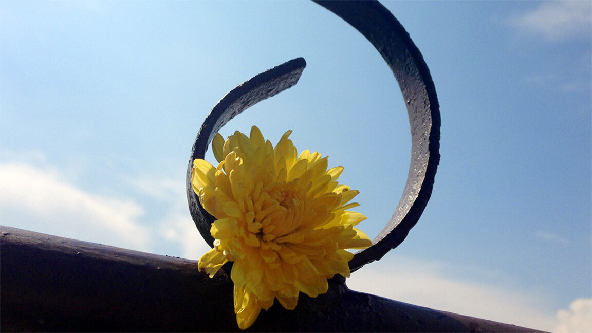 Времето в събота: Слънце и купеста облачност