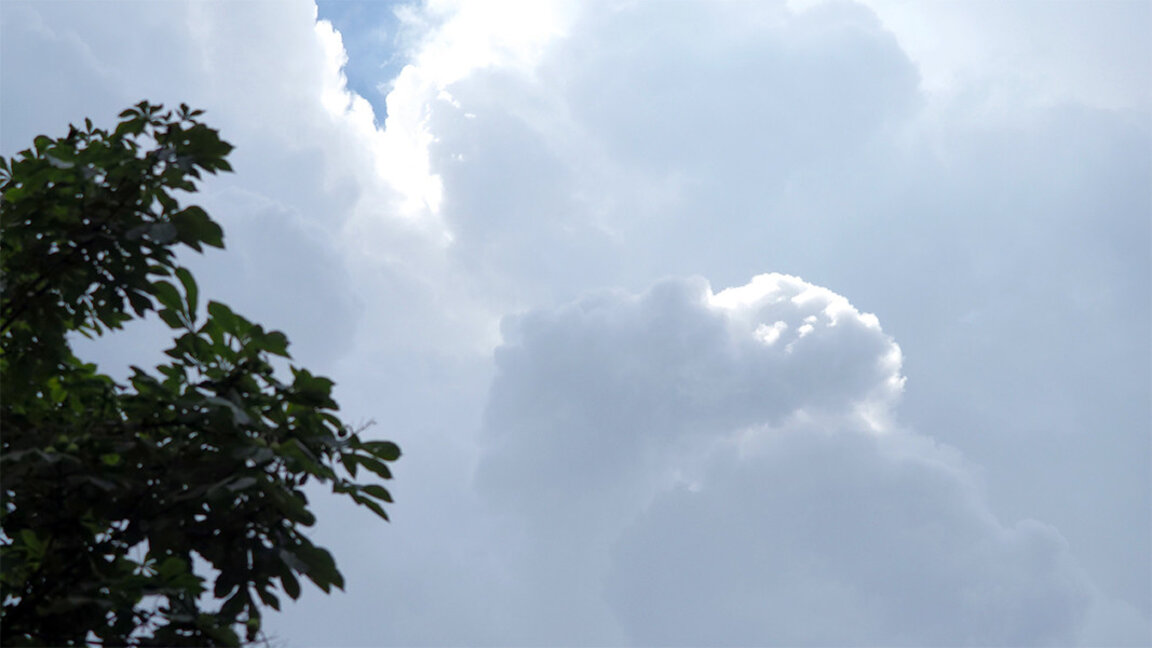On Transfiguration Day it will rain only in the northeastern regions