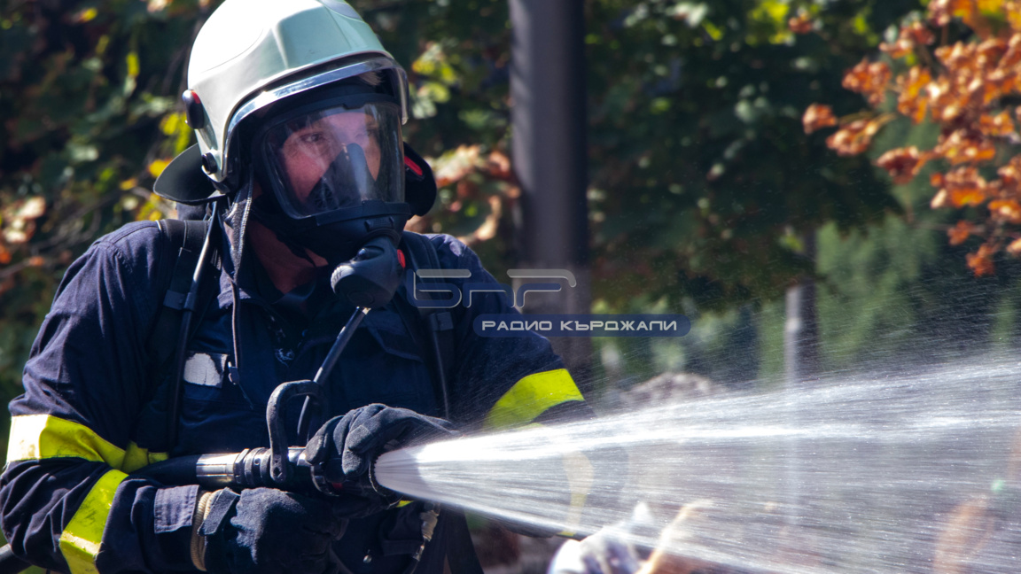 Крава и теле загинаха при пожар в стопанска сграда