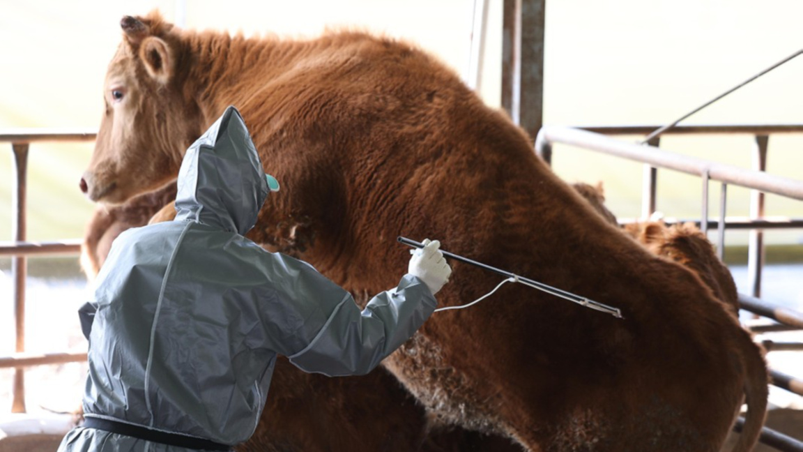 Кипър очаква важни европейски решения за справяне с болестта шап