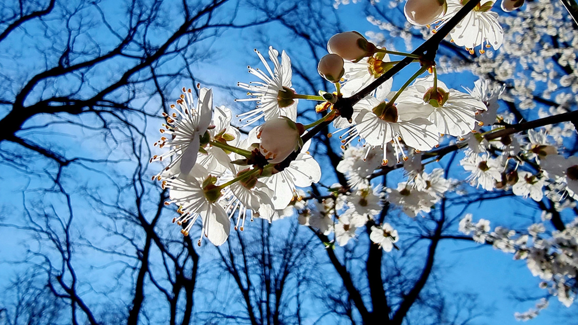 Wetteraussichten für Dienstag, den 7. April