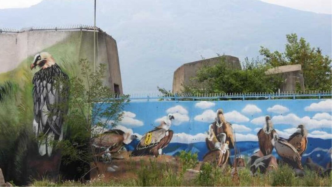 Riesige bunte Gemälde von Raubvögeln und Bären schmücken den Tierpark in Sofia