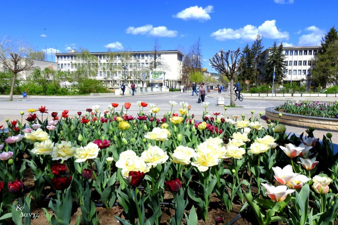 Разград празнува днес