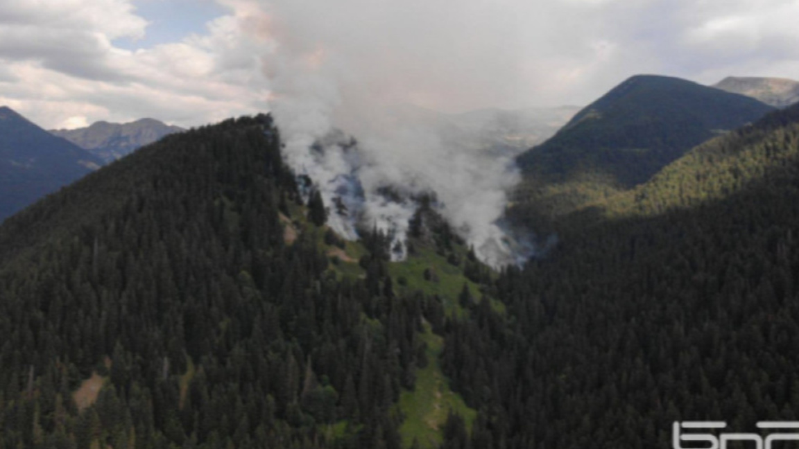 Близо 2000 дка гори са засегнали пожарите в ПП "Рилски манастир" това лято   