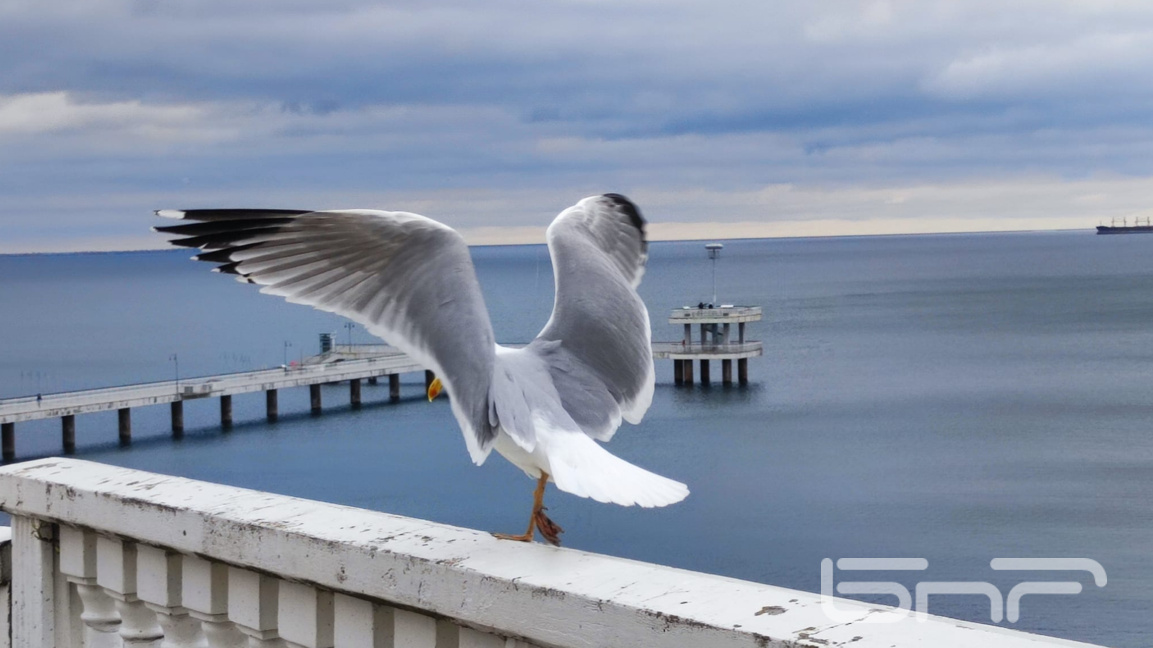 бургаският мост