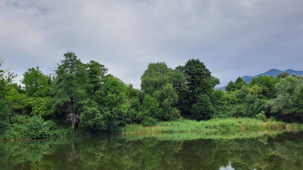 Wetteraussichten für Dienstag, den 26. August