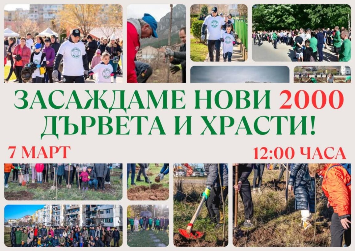 Засаждат 2000 дървета и храсти във Враца
