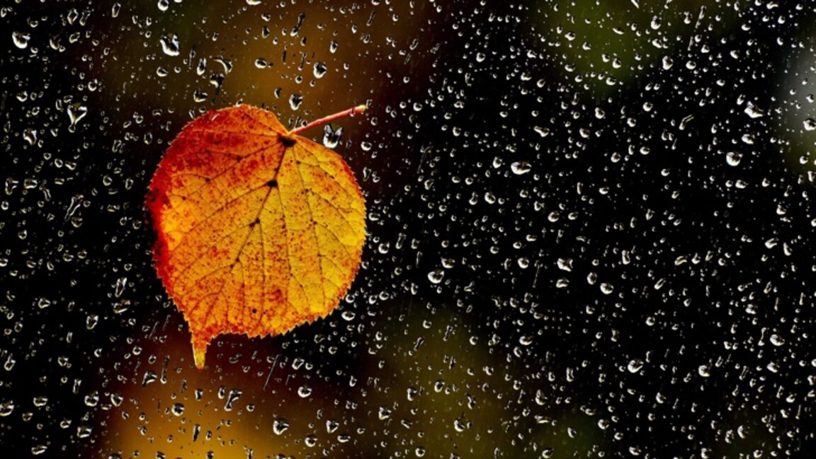 Parashikimi i motit për 18 nëntorin